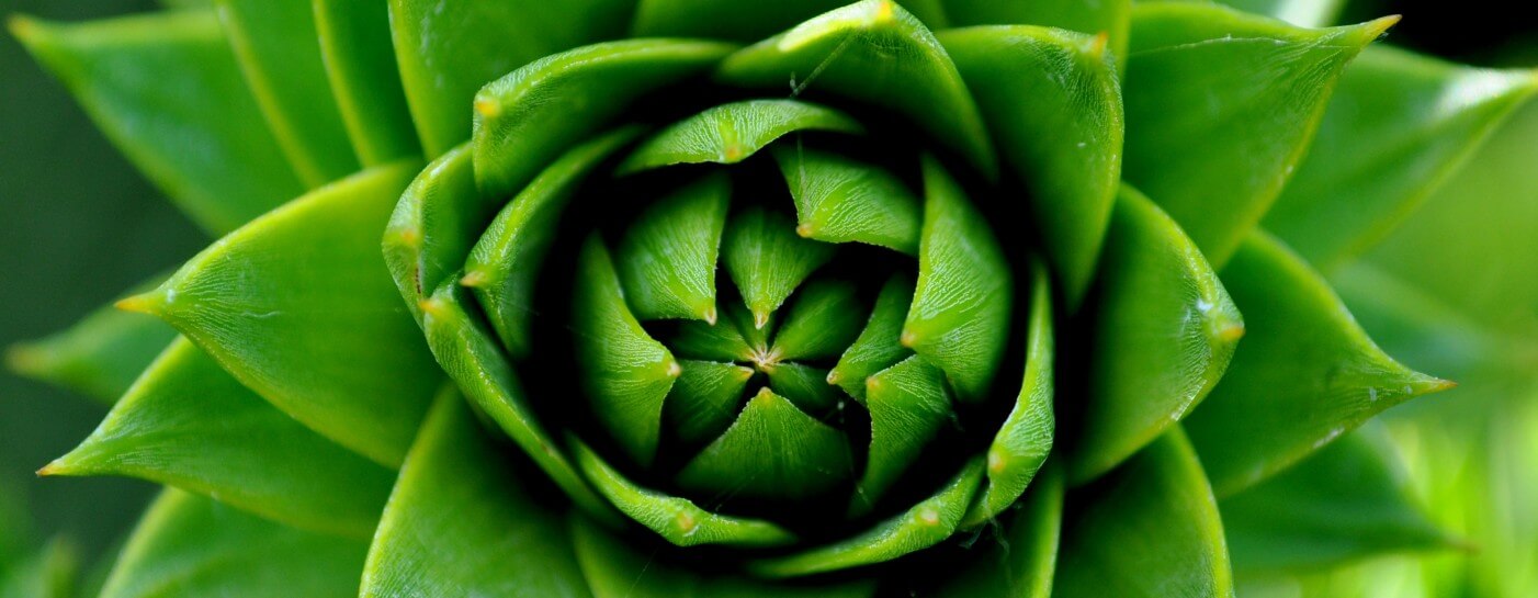 Gainey Ranch January Market Report 2022 Gainey Ranch Homes For Sale