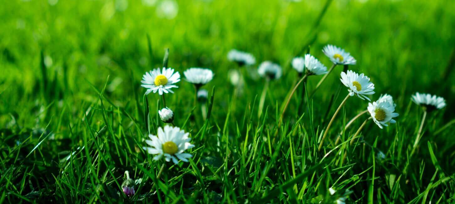 Gainey Ranch Market Update July 2022 Gainey Ranch Homes For Sale