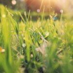 Gainey Ranch Market Report Jan 2026