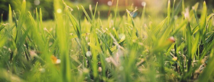 Gainey Ranch Market Report Jan 2026